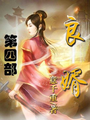 良婿 - ebook